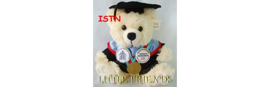 Boneka Wisuda Institut Sains dan Teknologi Nasional